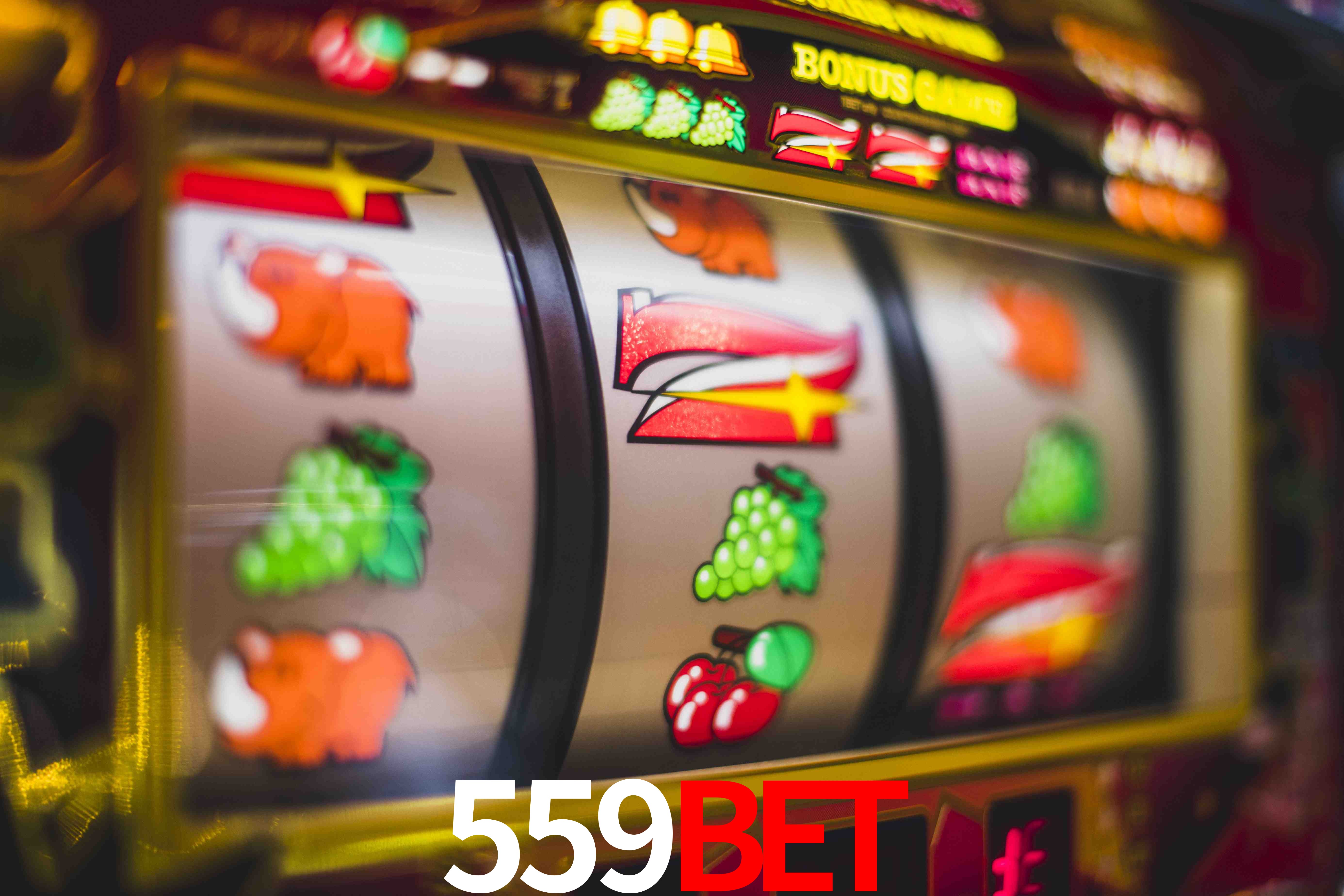 Football Betting 559bet